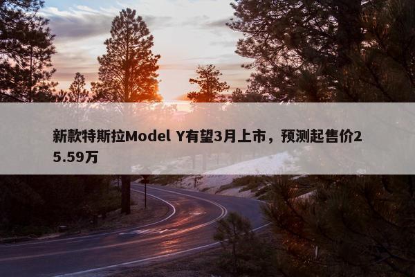 新款特斯拉Model Y有望3月上市，预测起售价25.59万