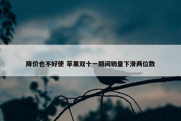 降价也不好使 苹果双十一期间销量下滑两位数