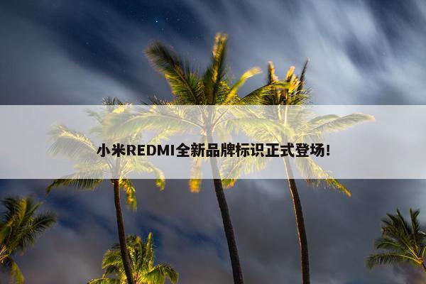 小米REDMI全新品牌标识正式登场！