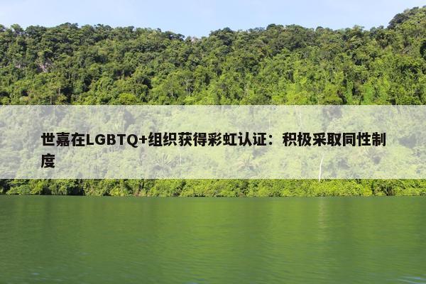 世嘉在LGBTQ+组织获得彩虹认证：积极采取同性制度