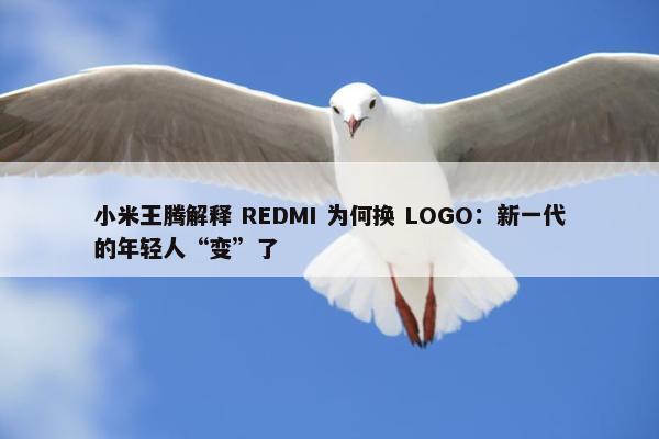 小米王腾解释 REDMI 为何换 LOGO：新一代的年轻人“变”了