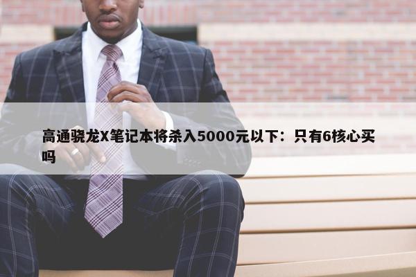 高通骁龙X笔记本将杀入5000元以下：只有6核心买吗