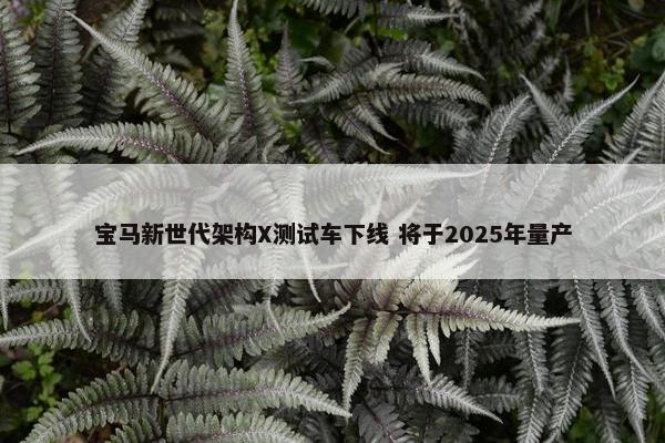 宝马新世代架构X测试车下线 将于2025年量产