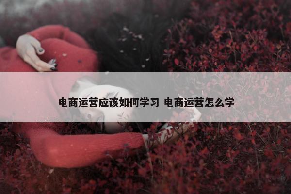 电商运营应该如何学习 电商运营怎么学