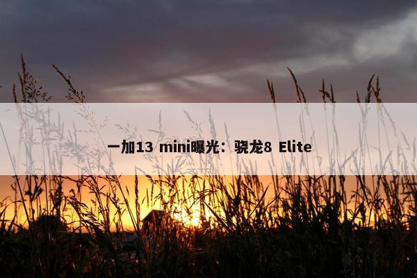 一加13 mini曝光：骁龙8 Elite