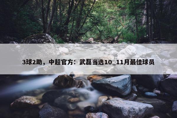 3球2助，中超官方：武磊当选10_11月最佳球员