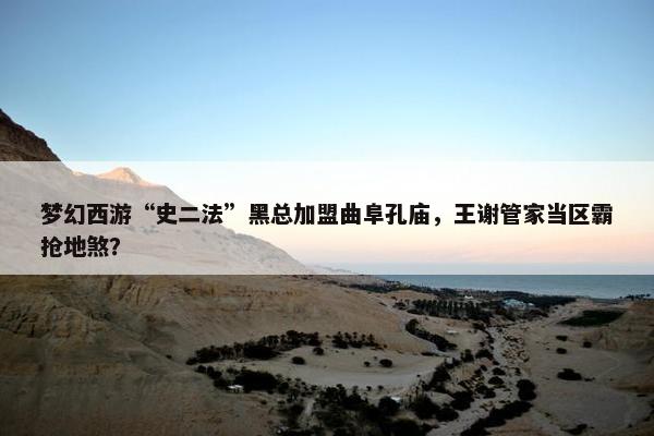 梦幻西游“史二法”黑总加盟曲阜孔庙，王谢管家当区霸抢地煞？