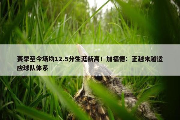 赛季至今场均12.5分生涯新高！加福德：正越来越适应球队体系