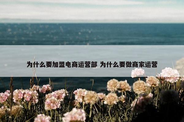 为什么要加盟电商运营部 为什么要做商家运营