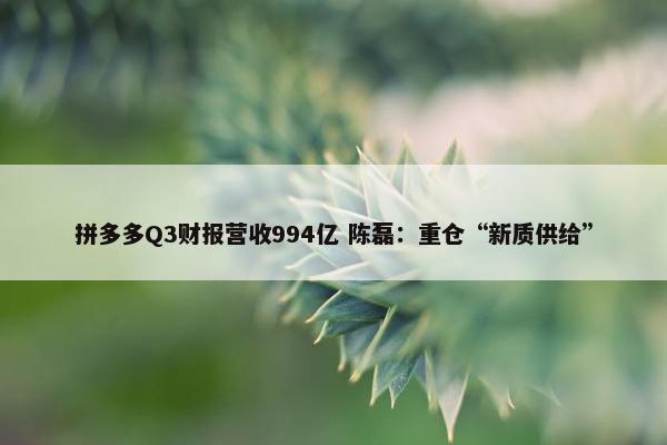 拼多多Q3财报营收994亿 陈磊：重仓“新质供给”