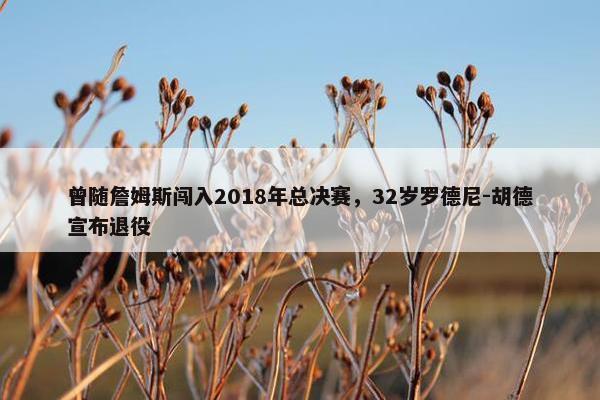 曾随詹姆斯闯入2018年总决赛，32岁罗德尼-胡德宣布退役