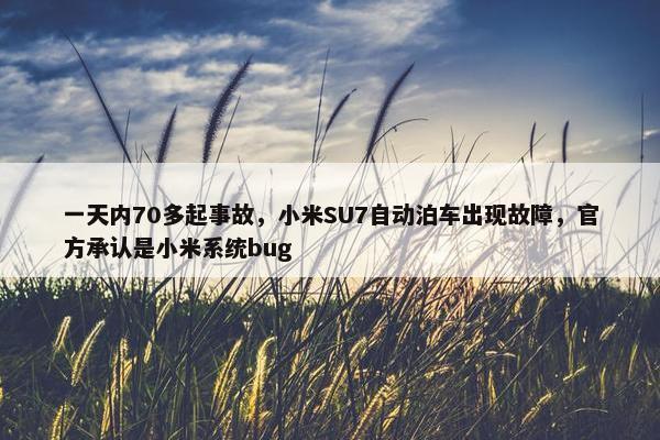 一天内70多起事故，小米SU7自动泊车出现故障，官方承认是小米系统bug