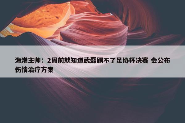 海港主帅：2周前就知道武磊踢不了足协杯决赛 会公布伤情治疗方案