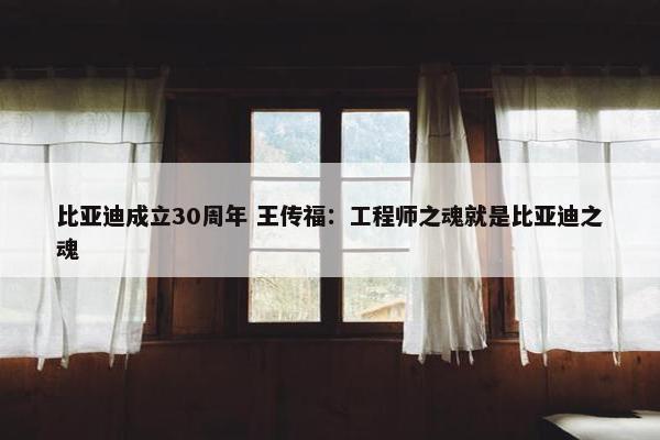 比亚迪成立30周年 王传福：工程师之魂就是比亚迪之魂