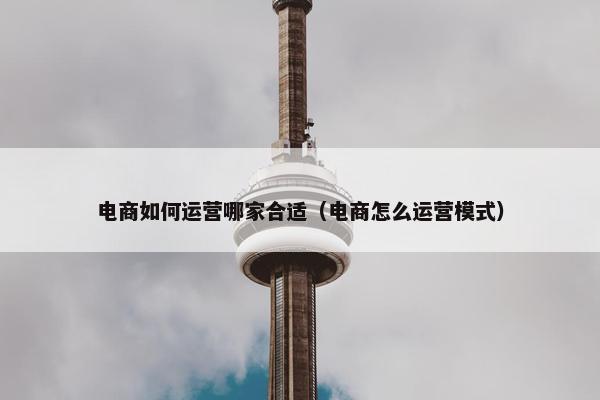 电商如何运营哪家合适（电商怎么运营模式）