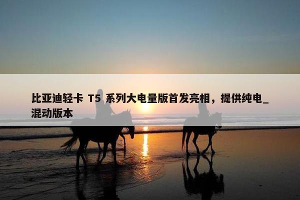 比亚迪轻卡 T5 系列大电量版首发亮相，提供纯电_混动版本