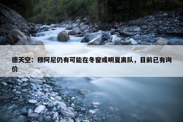 德天空：穆阿尼仍有可能在冬窗或明夏离队，目前已有询价