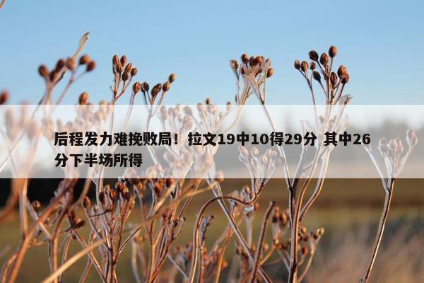 后程发力难挽败局！拉文19中10得29分 其中26分下半场所得