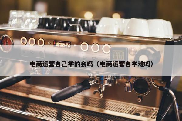 电商运营自己学的会吗（电商运营自学难吗）