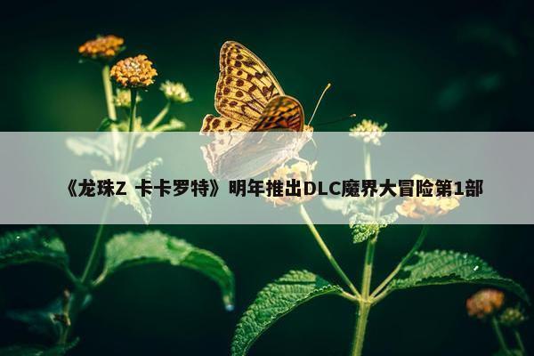 《龙珠Z 卡卡罗特》明年推出DLC魔界大冒险第1部