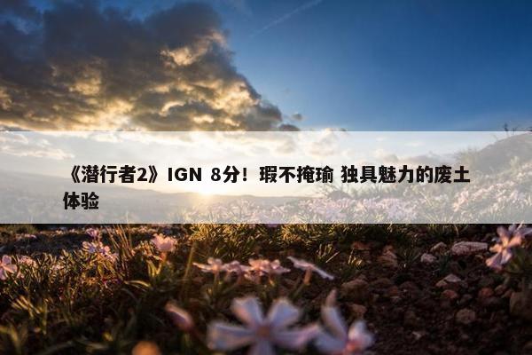 《潜行者2》IGN 8分！瑕不掩瑜 独具魅力的废土体验