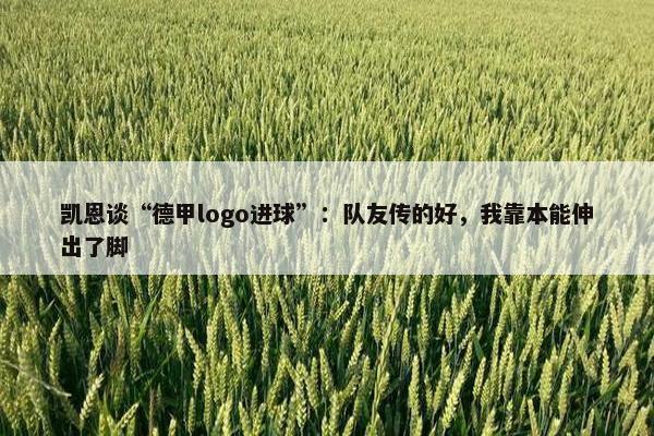 凯恩谈“德甲logo进球”：队友传的好，我靠本能伸出了脚