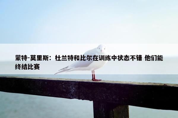 蒙特-莫里斯：杜兰特和比尔在训练中状态不错 他们能终结比赛