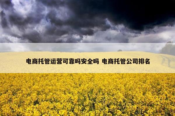 电商托管运营可靠吗安全吗 电商托管公司排名