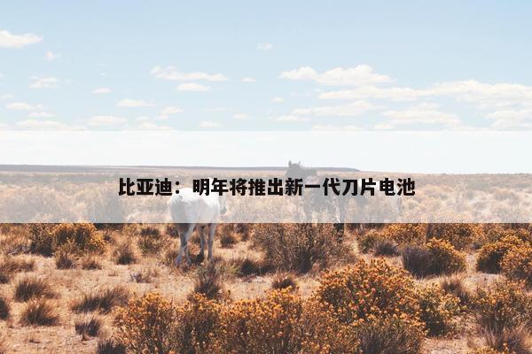 比亚迪：明年将推出新一代刀片电池