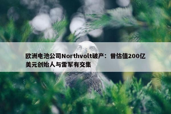 欧洲电池公司Northvolt破产：曾估值200亿美元创始人与雷军有交集