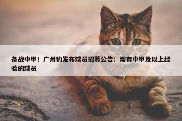 备战中甲！广州豹发布球员招募公告：需有中甲及以上经验的球员