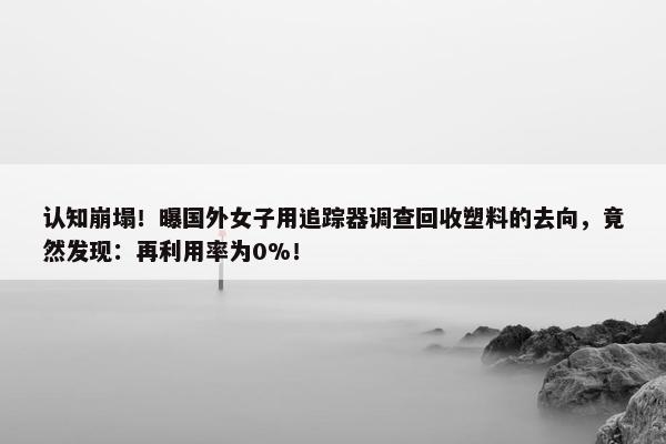 认知崩塌！曝国外女子用追踪器调查回收塑料的去向，竟然发现：再利用率为0%！