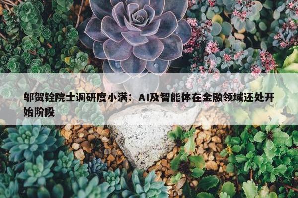 邬贺铨院士调研度小满：AI及智能体在金融领域还处开始阶段