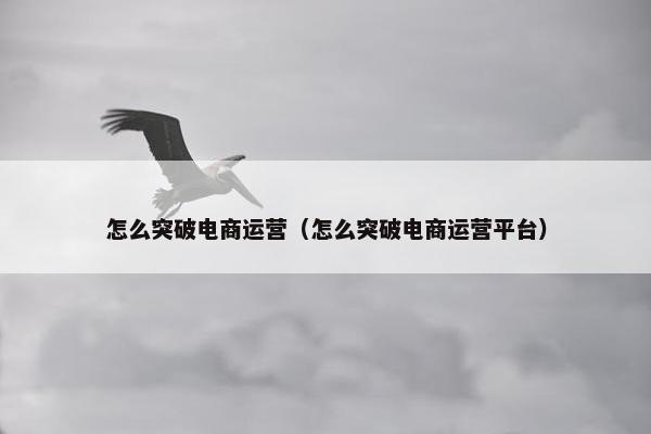 怎么突破电商运营（怎么突破电商运营平台）