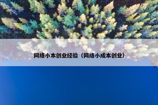 网络小本创业经验（网络小成本创业）