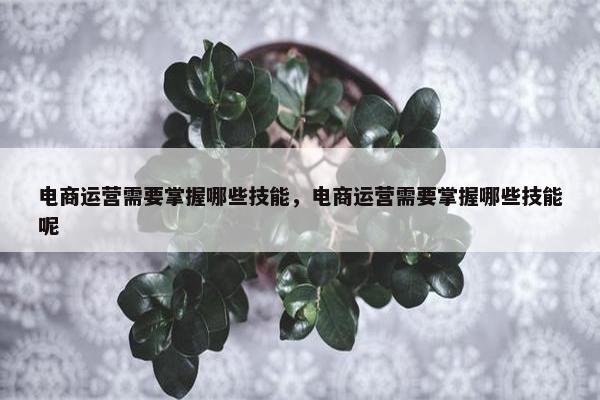 电商运营需要掌握哪些技能，电商运营需要掌握哪些技能呢