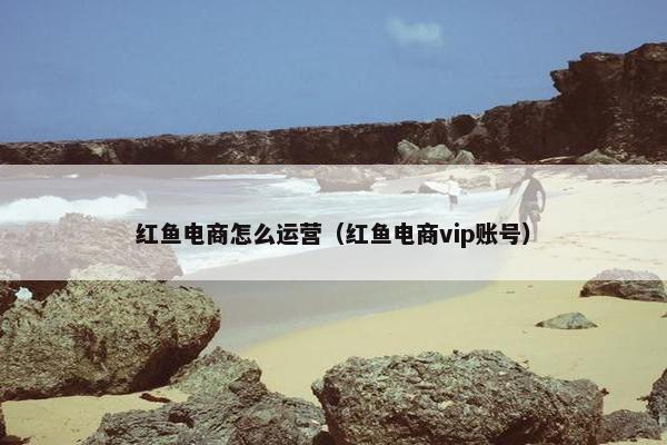 红鱼电商怎么运营（红鱼电商vip账号）