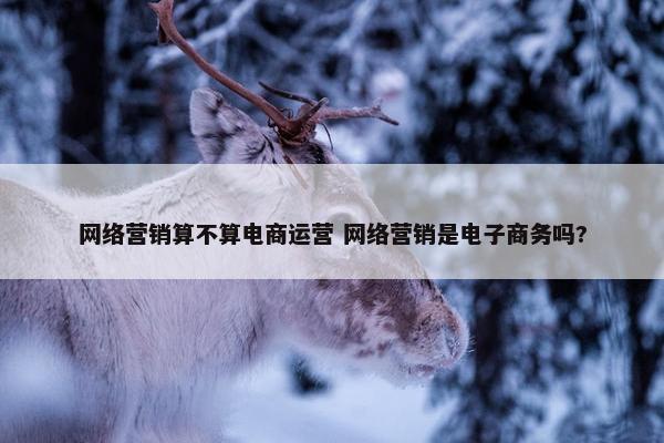 网络营销算不算电商运营 网络营销是电子商务吗?