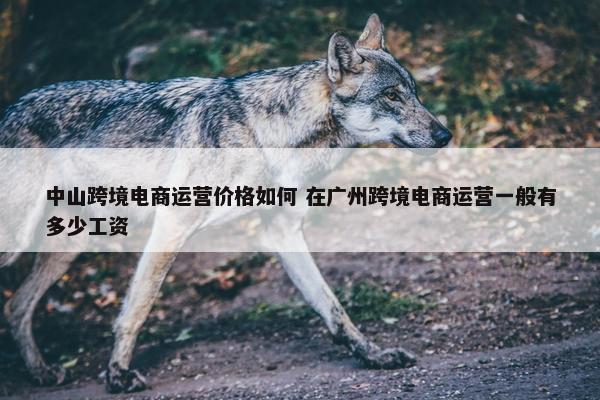 中山跨境电商运营价格如何 在广州跨境电商运营一般有多少工资