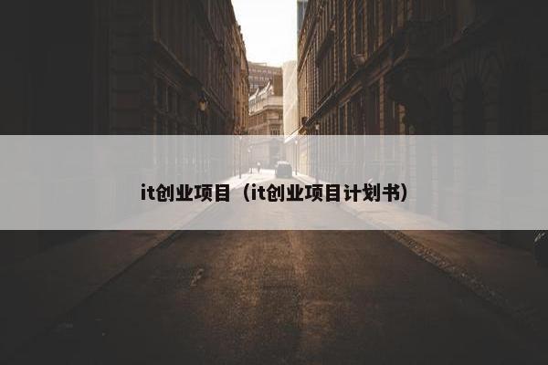 it创业项目（it创业项目计划书）