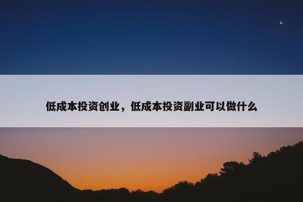 低成本投资创业，低成本投资副业可以做什么