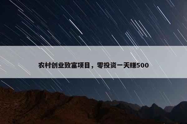 农村创业致富项目，零投资一天赚500