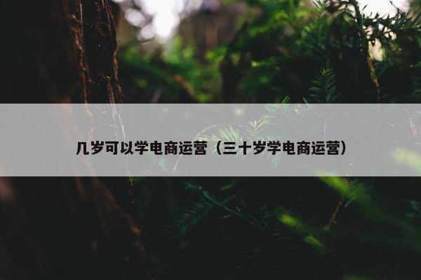 几岁可以学电商运营（三十岁学电商运营）