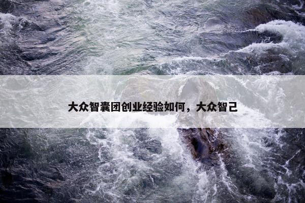 大众智囊团创业经验如何，大众智己