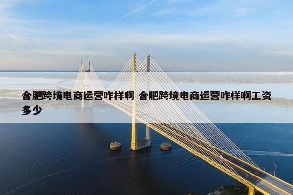 合肥跨境电商运营咋样啊 合肥跨境电商运营咋样啊工资多少