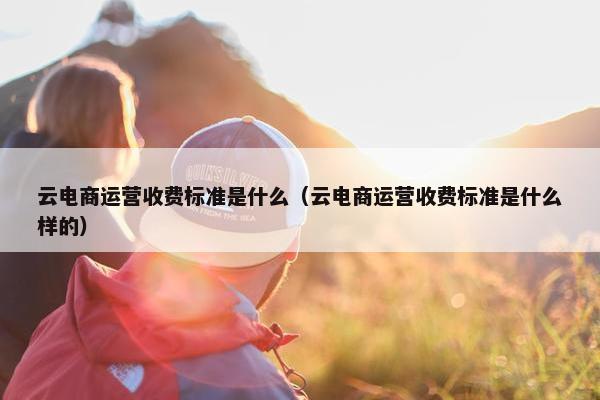 云电商运营收费标准是什么（云电商运营收费标准是什么样的）