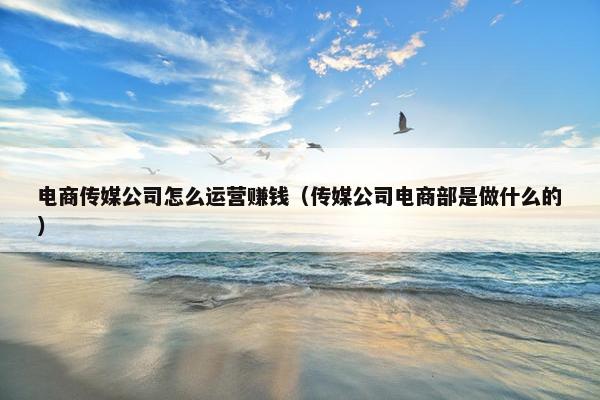 电商传媒公司怎么运营赚钱（传媒公司电商部是做什么的）