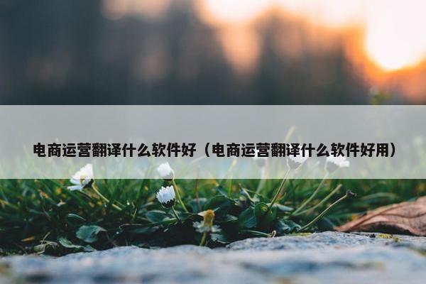 电商运营翻译什么软件好（电商运营翻译什么软件好用）