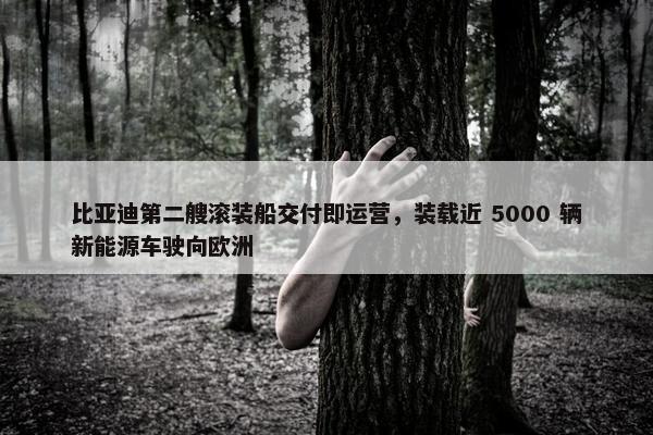 比亚迪第二艘滚装船交付即运营，装载近 5000 辆新能源车驶向欧洲