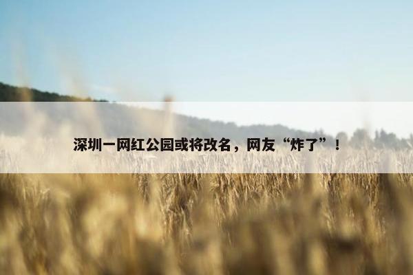 深圳一网红公园或将改名，网友“炸了”！